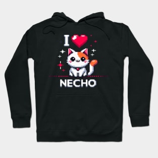 Necho Hoodie